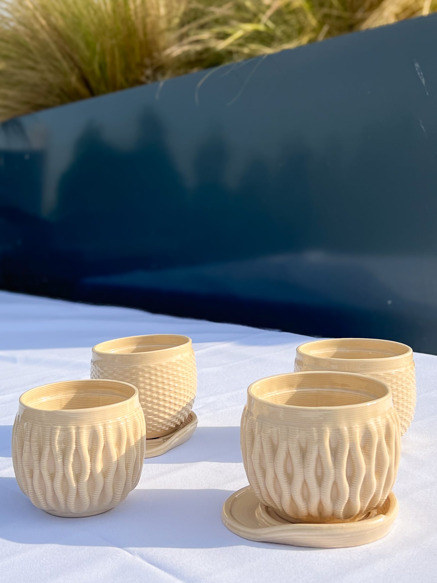 Coral - Transparent Double Layer 3D Printed Cups