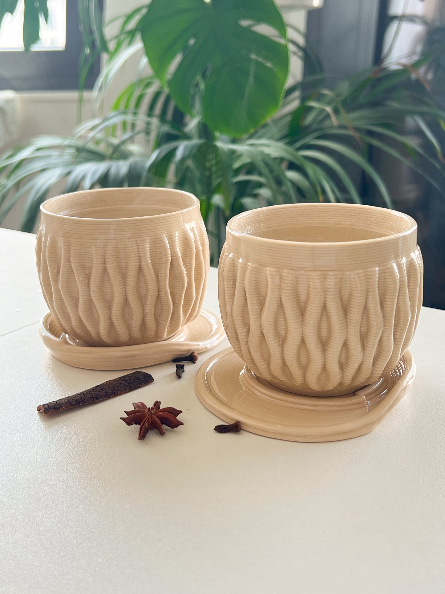 Coral - Transparent Double Layer 3D Printed Cups