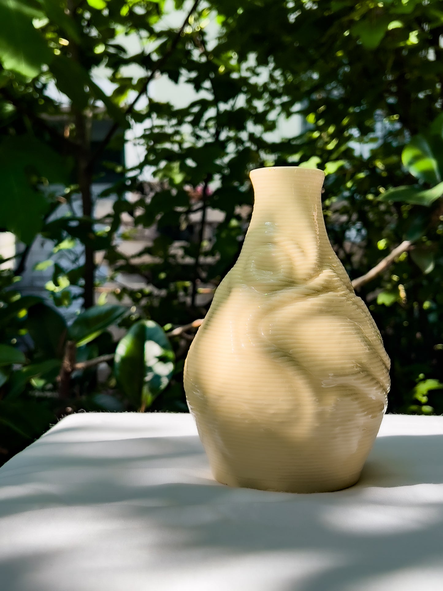 Dream - Transparent 3D Printed Vase (Treasure)