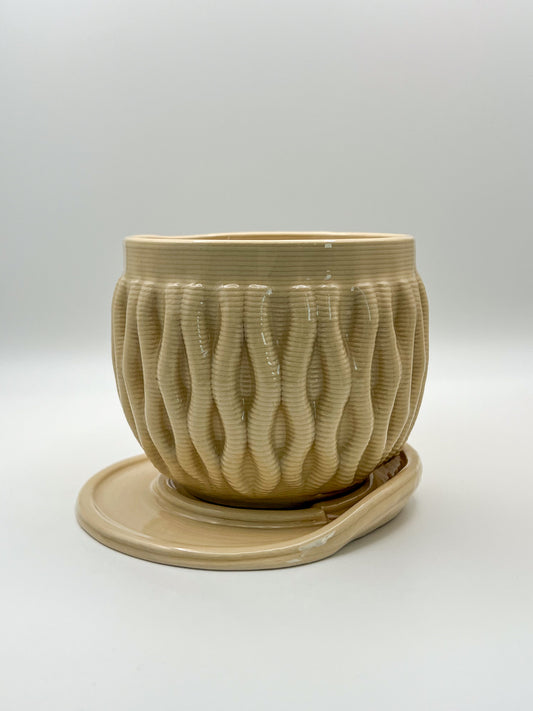 Coral - Transparent Double Layer 3D Printed Cups